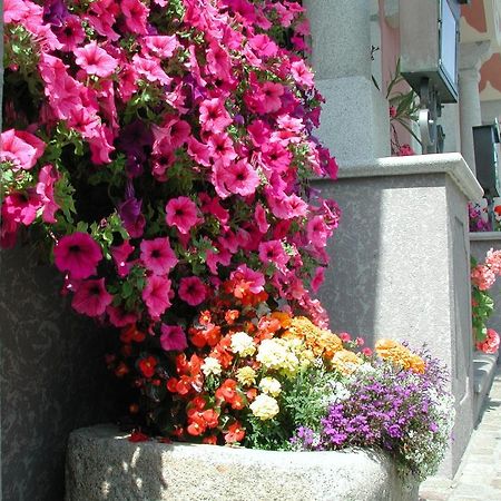 Hotel Sammer Neufelden Bagian luar foto