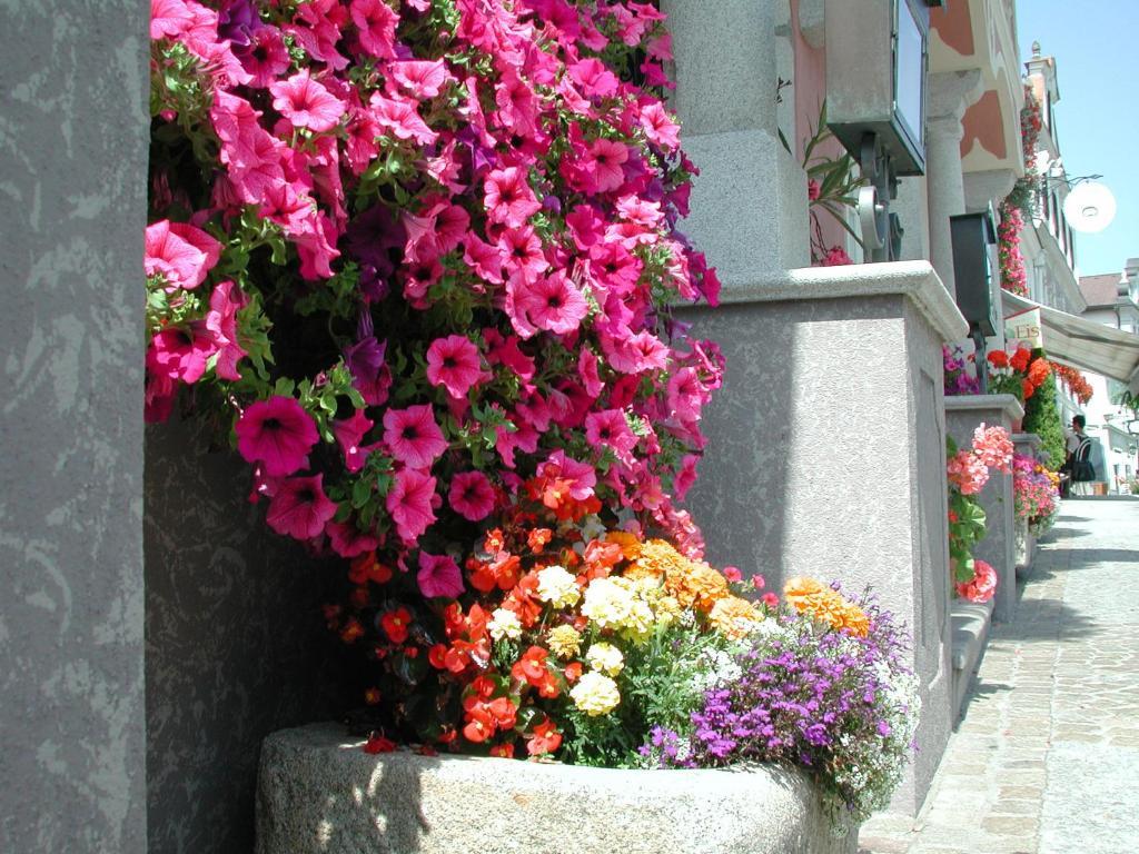 Hotel Sammer Neufelden Bagian luar foto